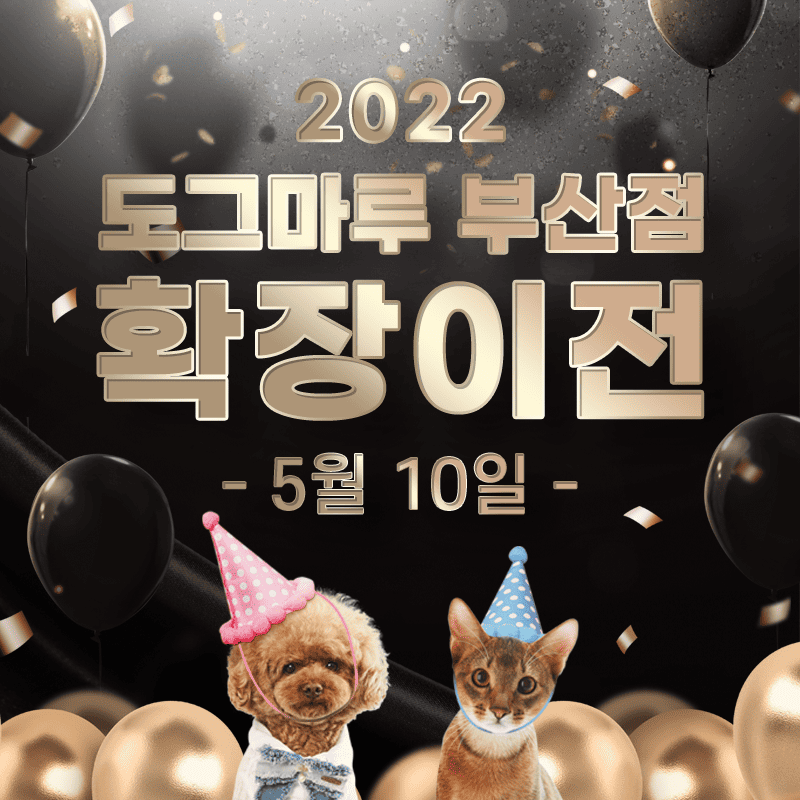 ★ 도그마루 부산점 확장이전  ★