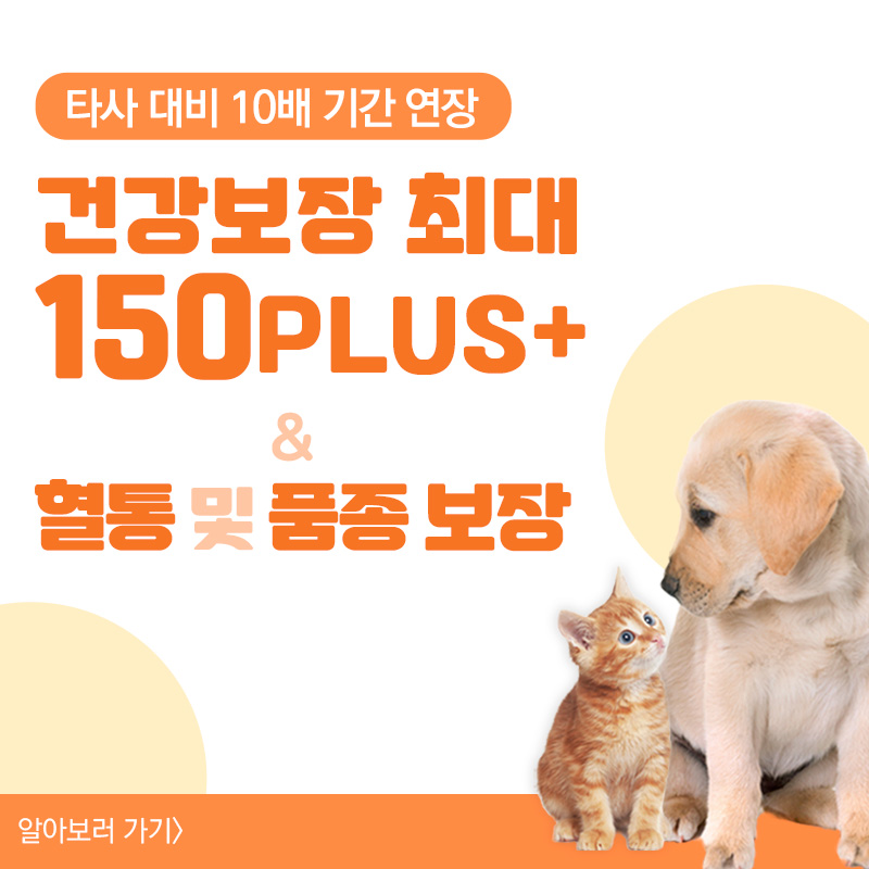 건강보장 최대 150일 연장 보장 & 품종 및 혈통 보장!!