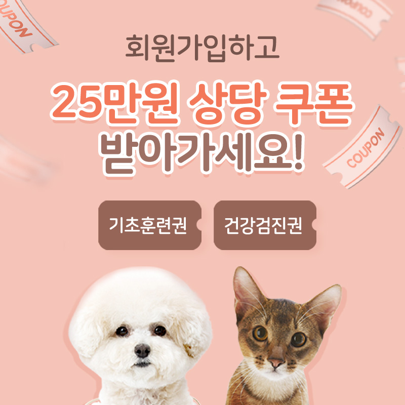 👪회원가입하고 25만원 상당 쿠폰 받아가세요💳