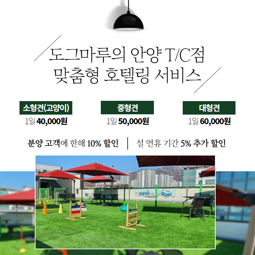 ★ 도그마루 맞춤형 호텔링 서비스 ★