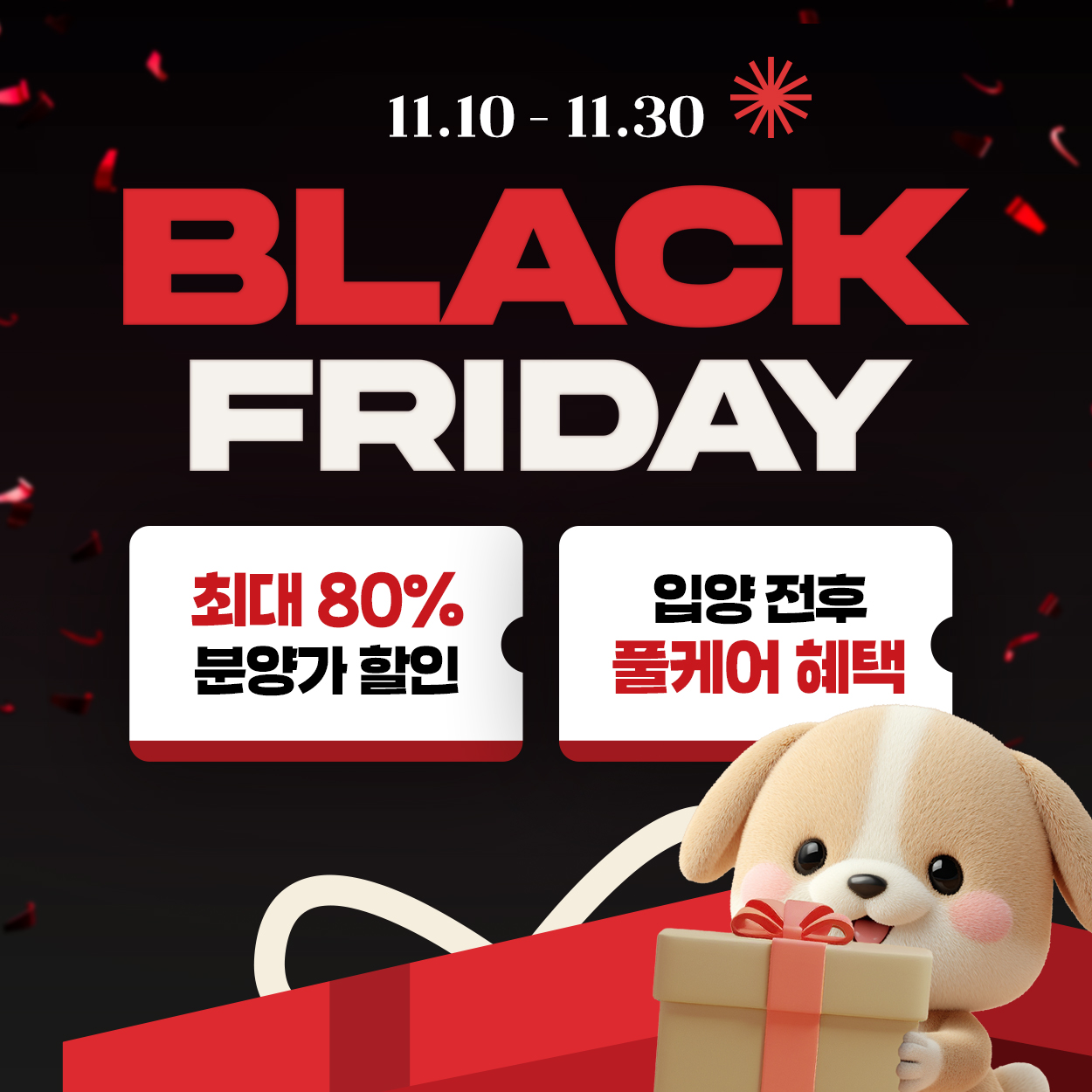 🎁블랙프라이데이 이벤트🎁