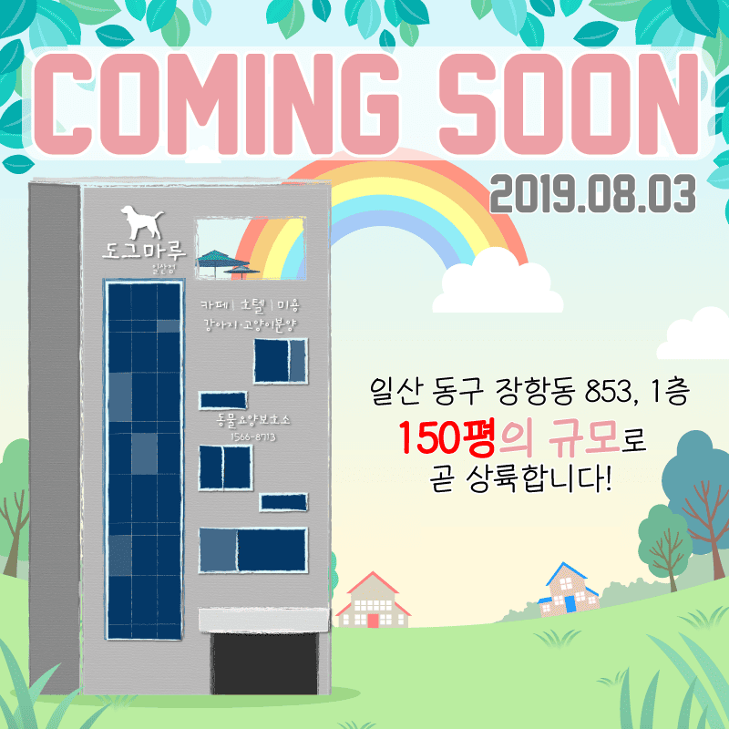 도그마루 일산점 오픈 예정! COMING SOON!
