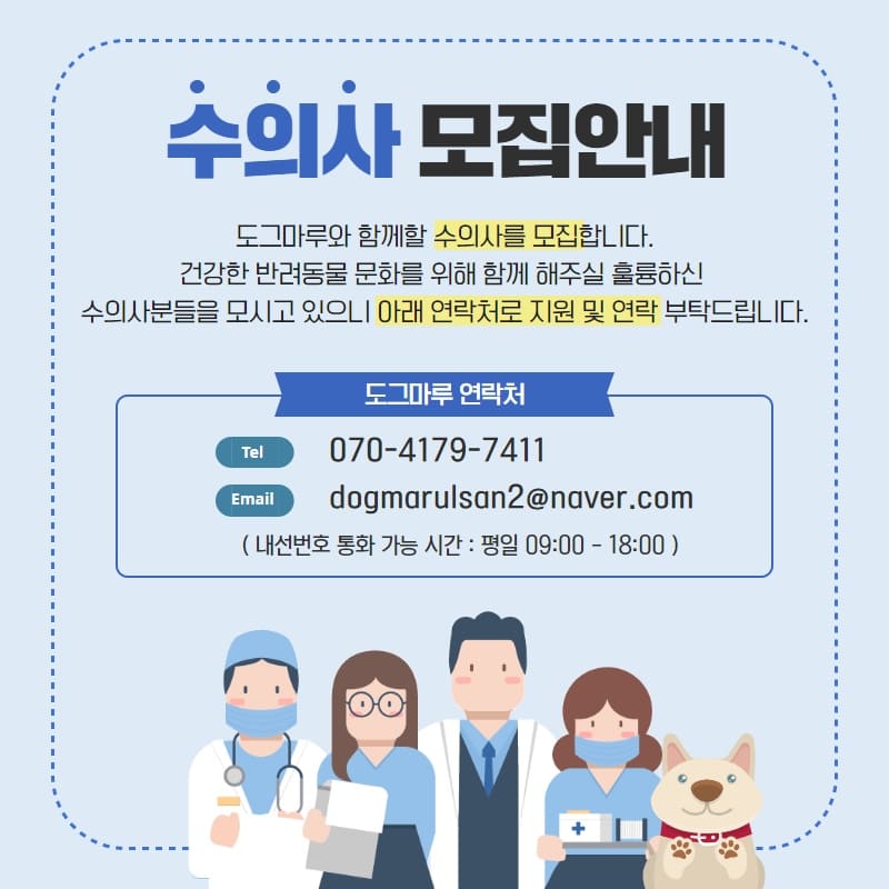 수의사 선생님을 도그마루의 가족으로 모십니다.
