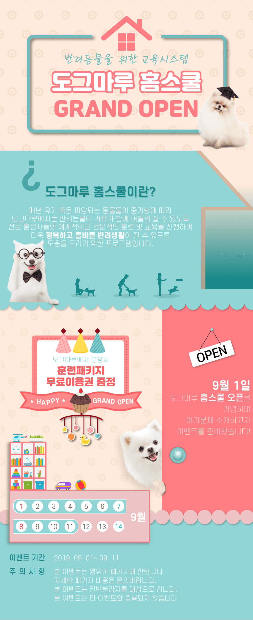도그마루 홈스쿨 런칭 EVENT !!