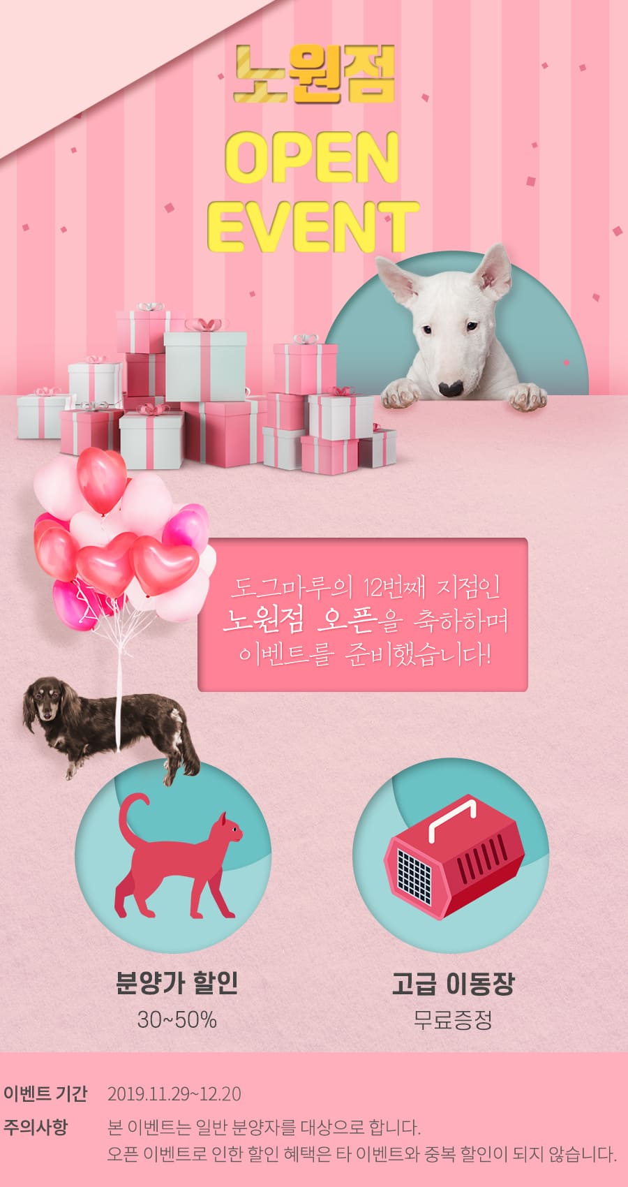 도그마루 노원점 오픈 EVENT !!