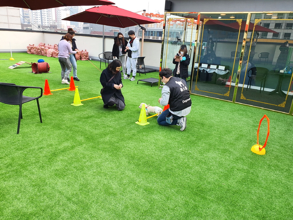 [동행캠페인] 발달장애인과 함께하는 유기묘, 유기견보호소, 유기동물보호소, 동물보호소 누리봄 유기동물쉼터 사…