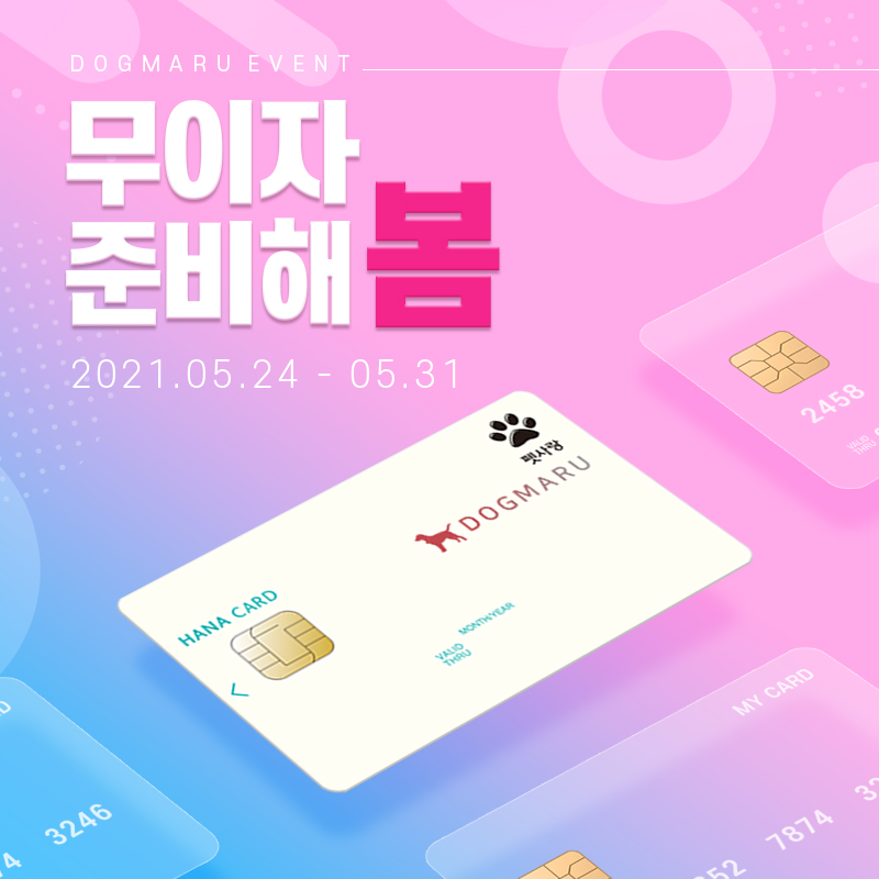 ★도그마루 무이자 준비해봄 이벤트★