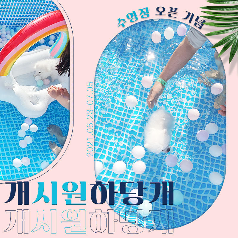 ★도그마루 개시원하당개 이벤트★