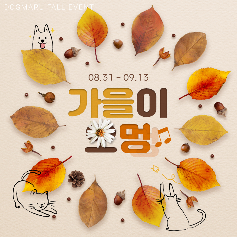 ★도그마루 가을이 오멍♪ 이벤트★